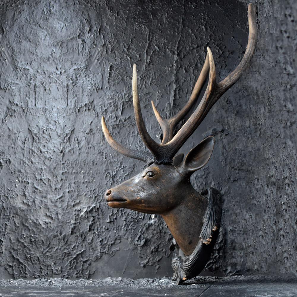 Mid-19th Century 19th Century German Deer’s Trophy Head