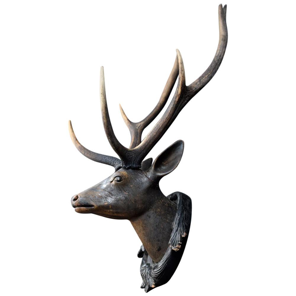 19th Century German Deer’s Trophy Head