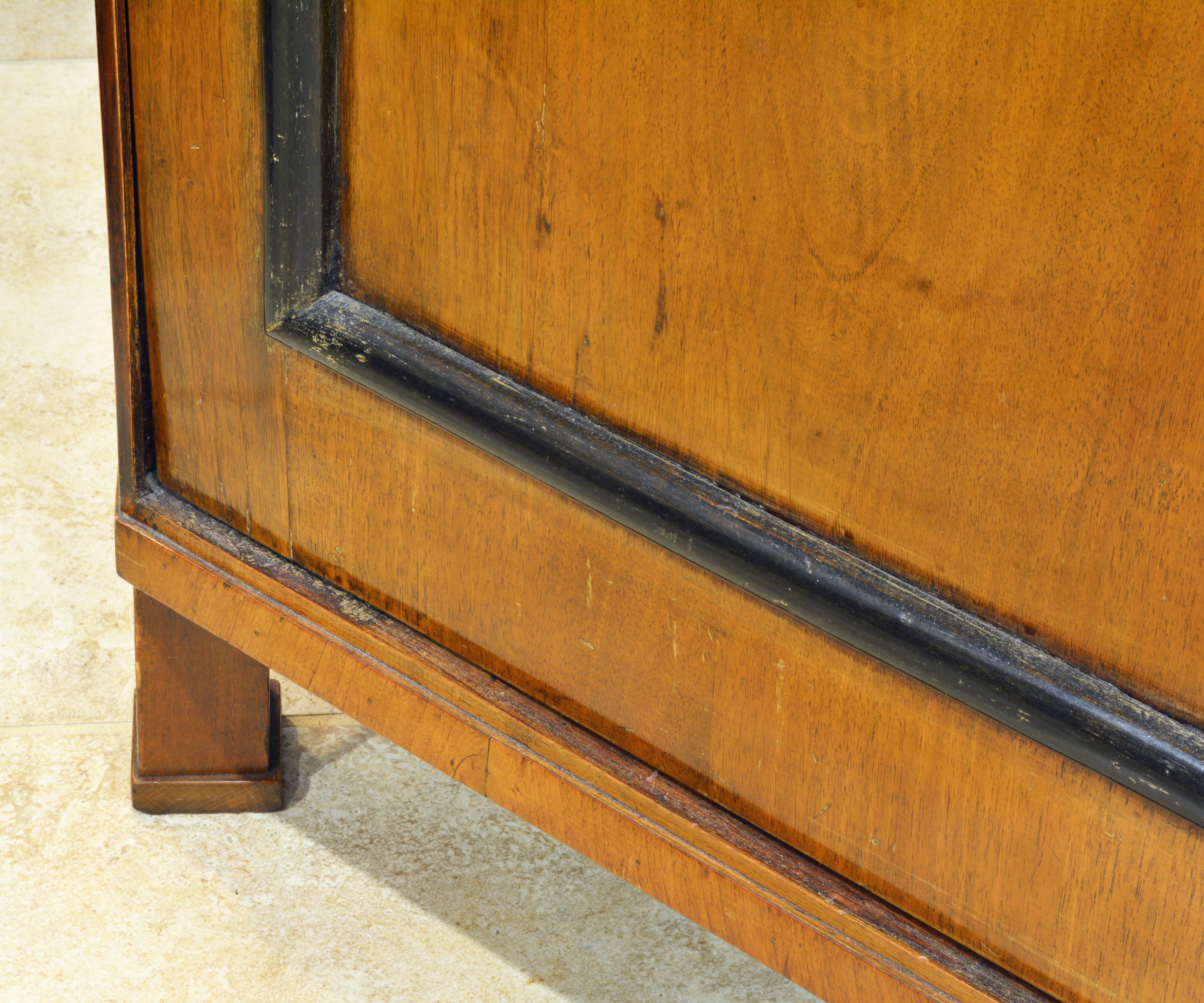 19th Century German Fruitwood and Ebonized Biedermeier Two-Door Book Case 1