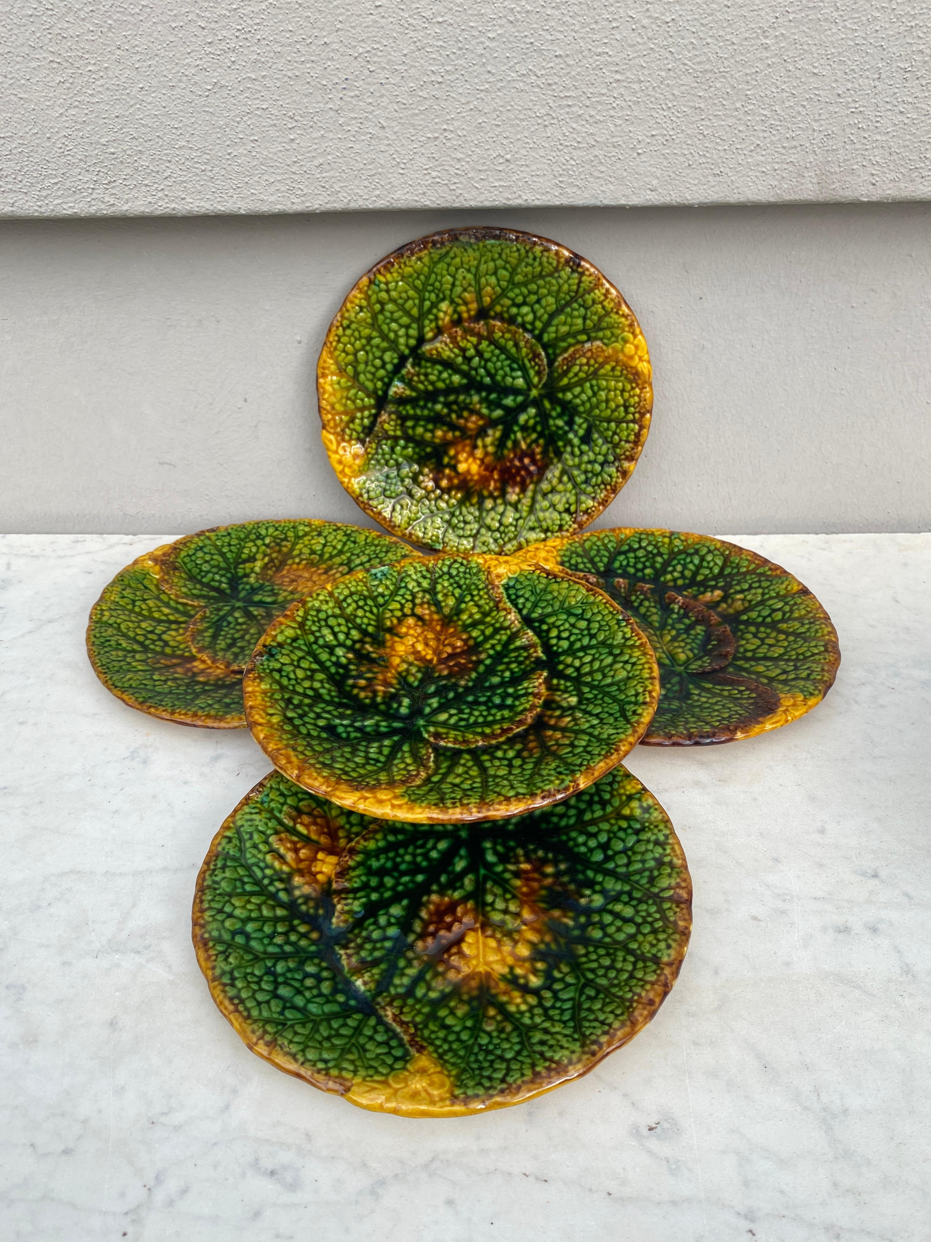 19th Century German Majolica Begonia Plate In Good Condition For Sale In Austin, TX