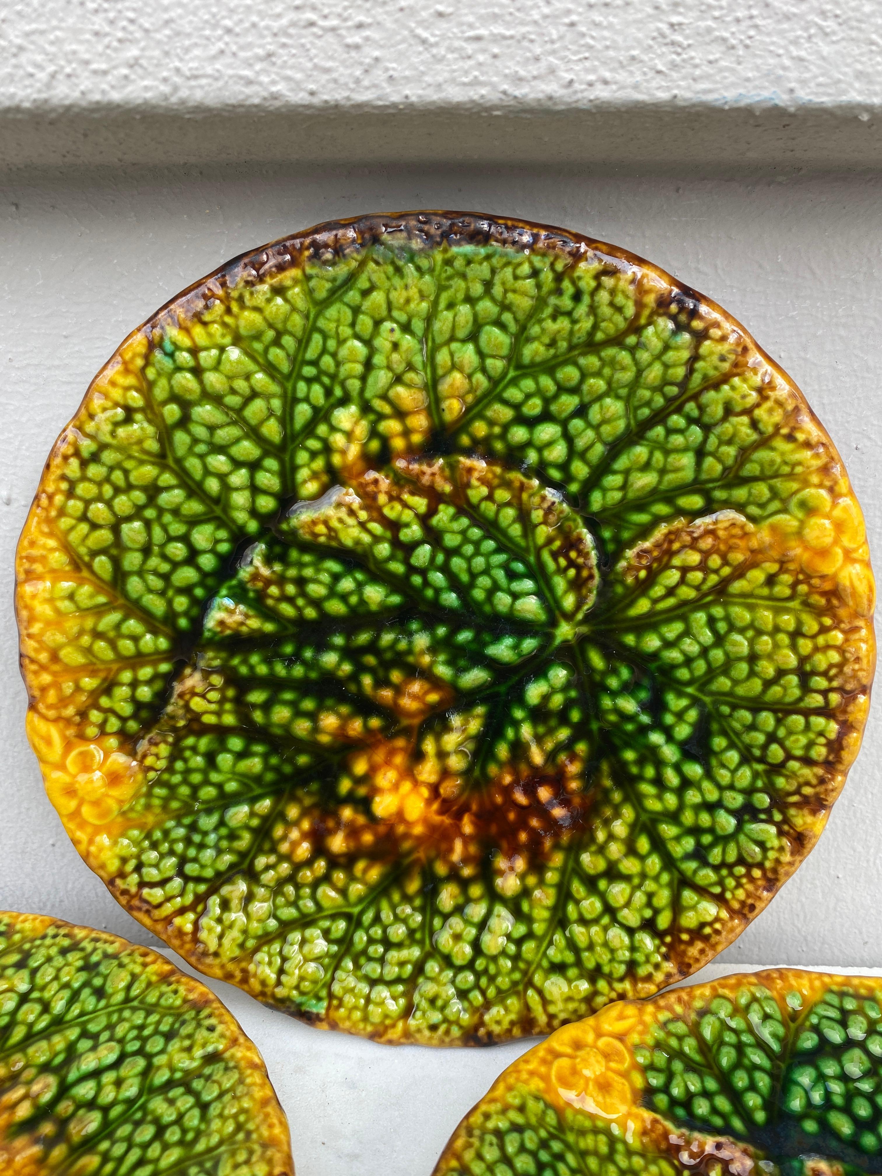 Deutscher Majolika- Begonia-Teller aus dem 19. Jahrhundert (Spätes 19. Jahrhundert) im Angebot