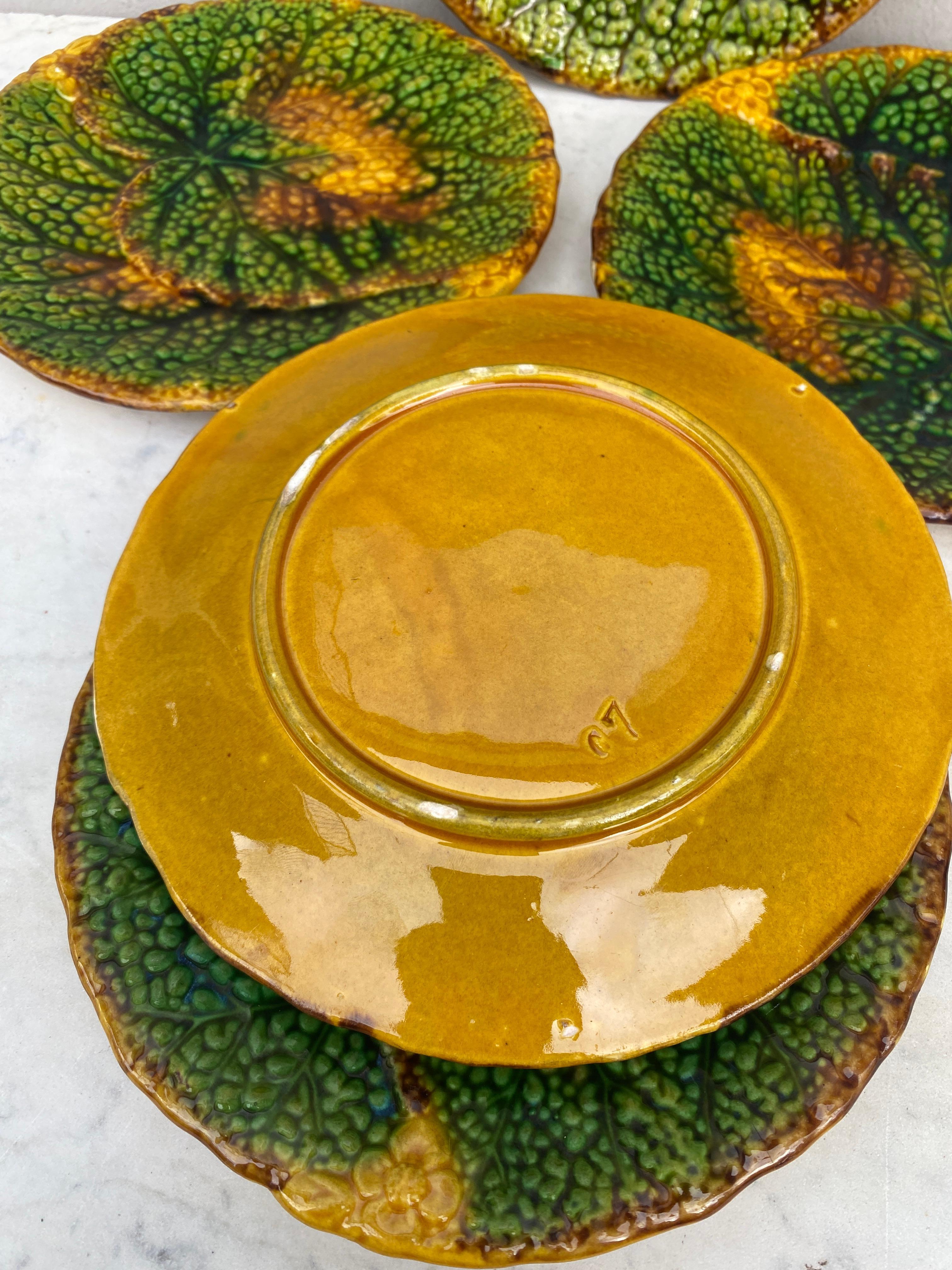 Deutscher Majolika- Begonia-Teller aus dem 19. Jahrhundert (Keramik) im Angebot