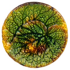 19th Century German Majolica Begonia Plate