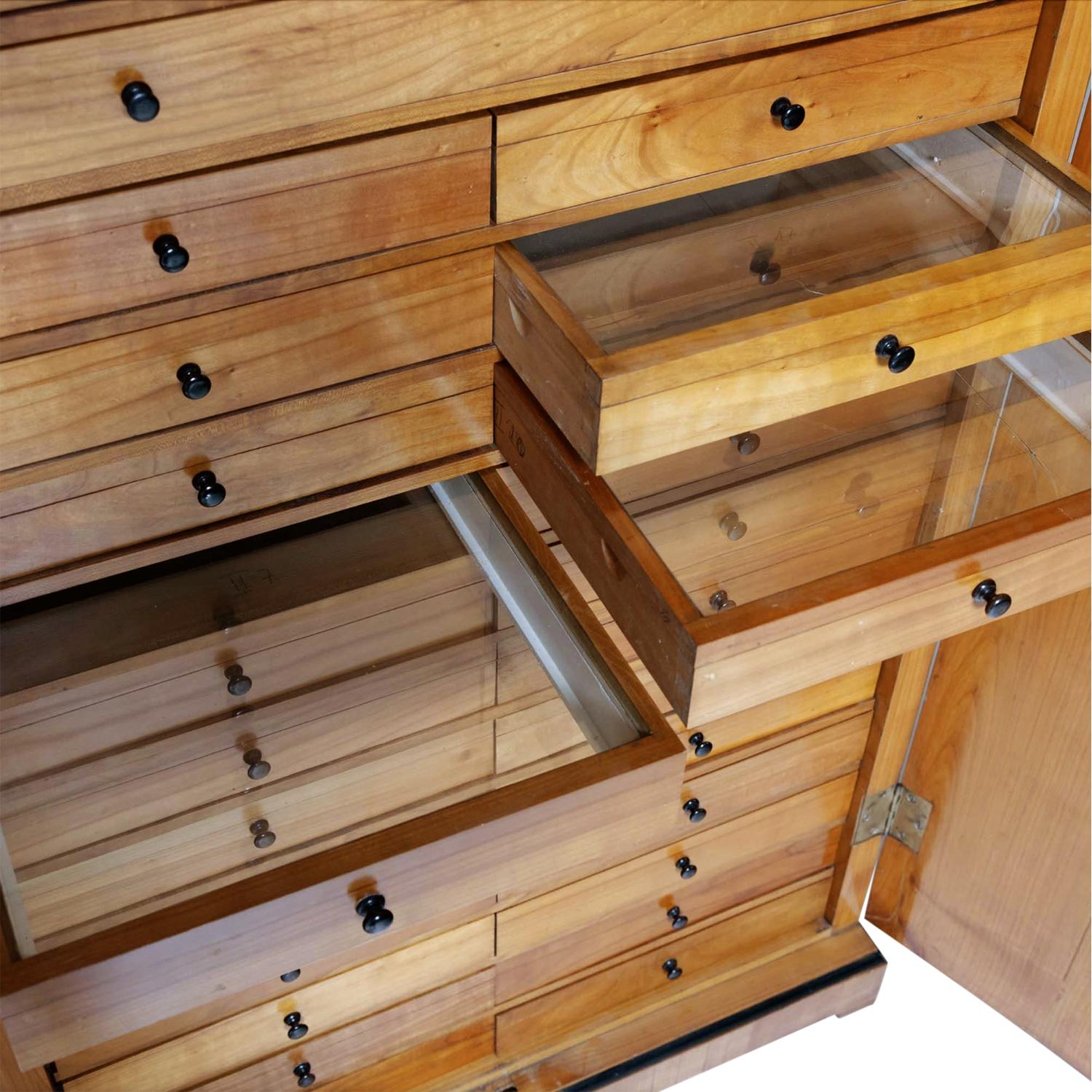 19th Century German Pair of Antique Biedermeier Cherrywood Display Cabinets For Sale 5