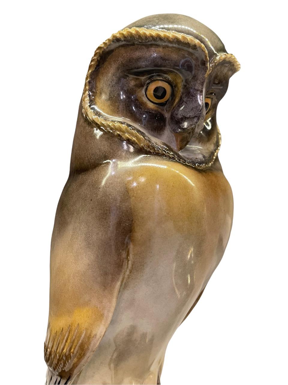19th Century German Porcelain Owl Figure, by Meissen 5