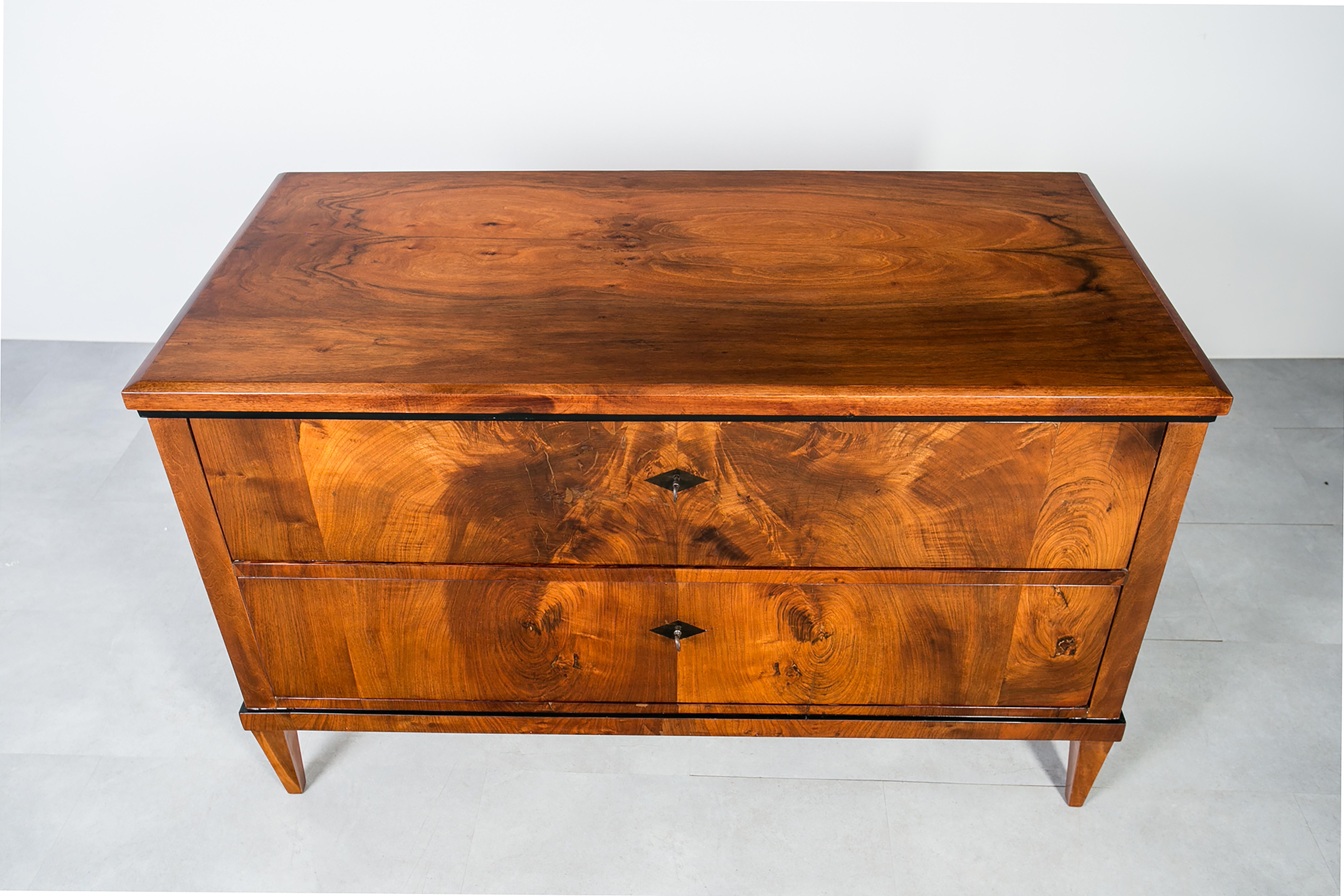 Cassettiera in noce tedesca del XIX secolo, completamente restaurata, polacco francese in vendita 6