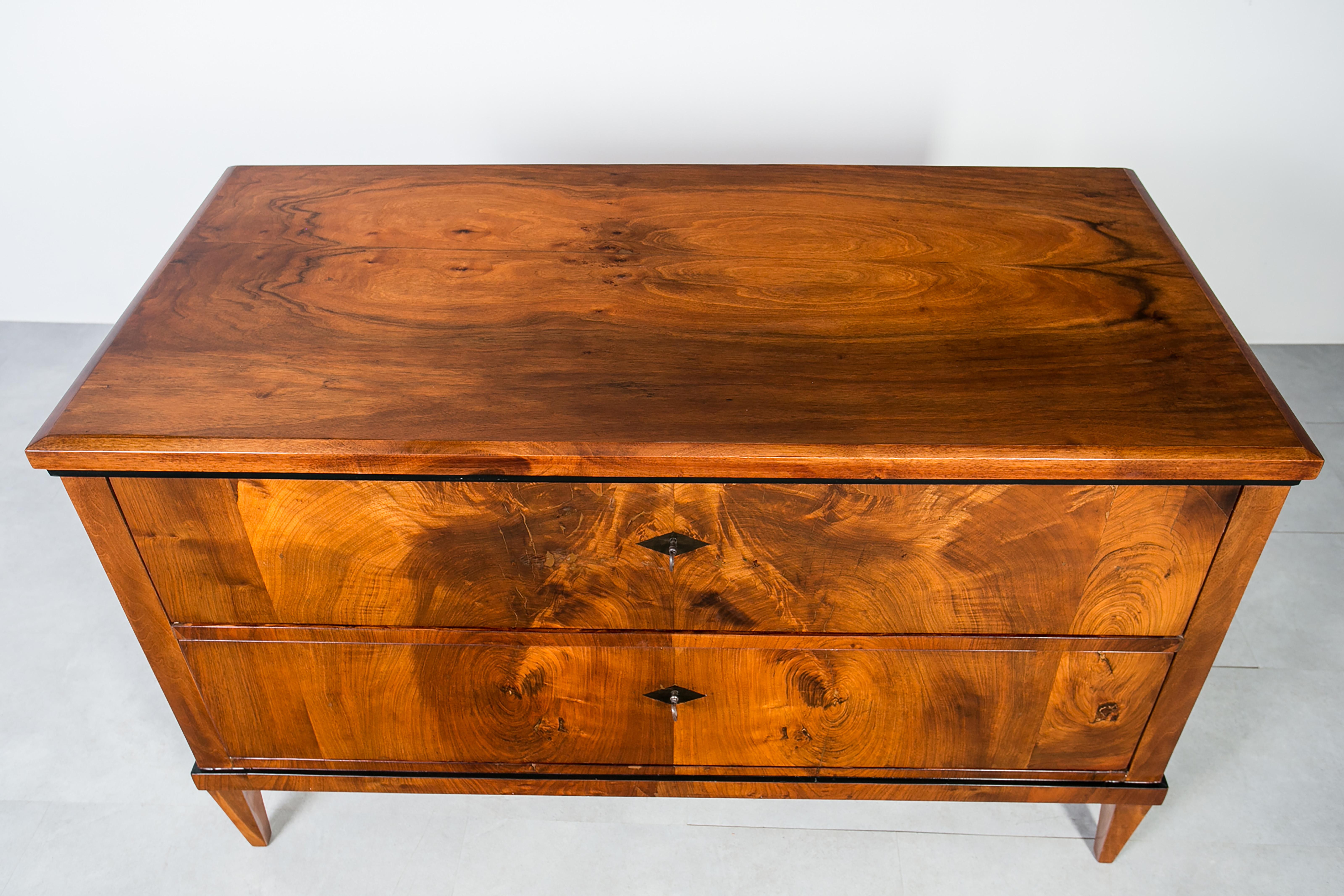 Cassettiera in noce tedesca del XIX secolo, completamente restaurata, polacco francese in vendita 7