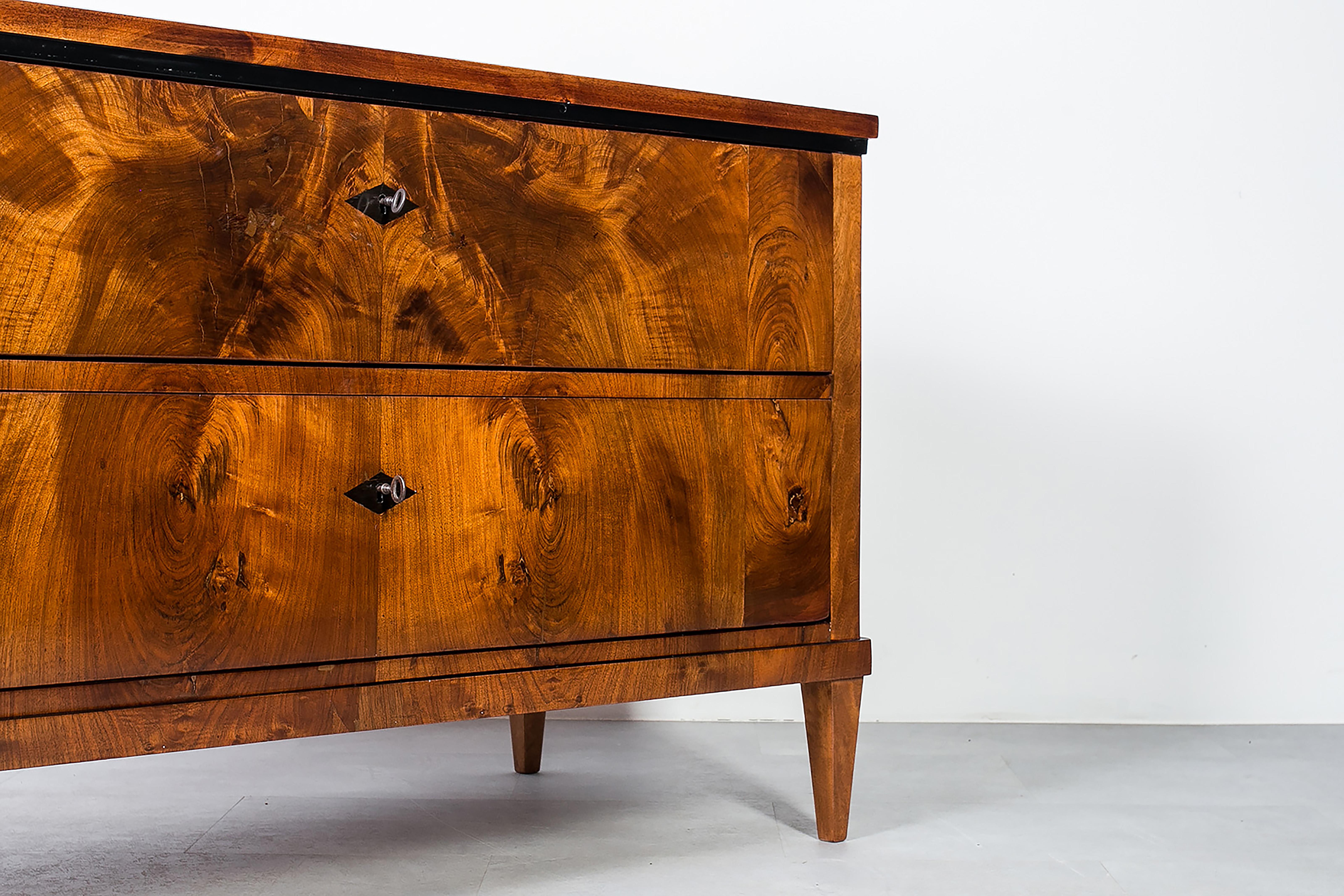 Cassettiera in noce tedesca del XIX secolo, completamente restaurata, polacco francese in vendita 1