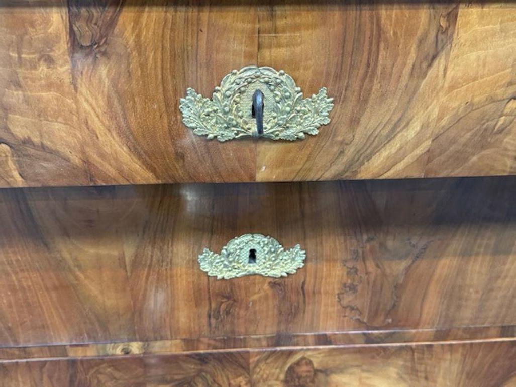 19th Century German Walnut Commode with Ebonized Details with Gilt Bronze Mounts For Sale 2