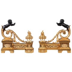 19th Century Gilt and Patinated Bronze Andirons in Louis XVI Style