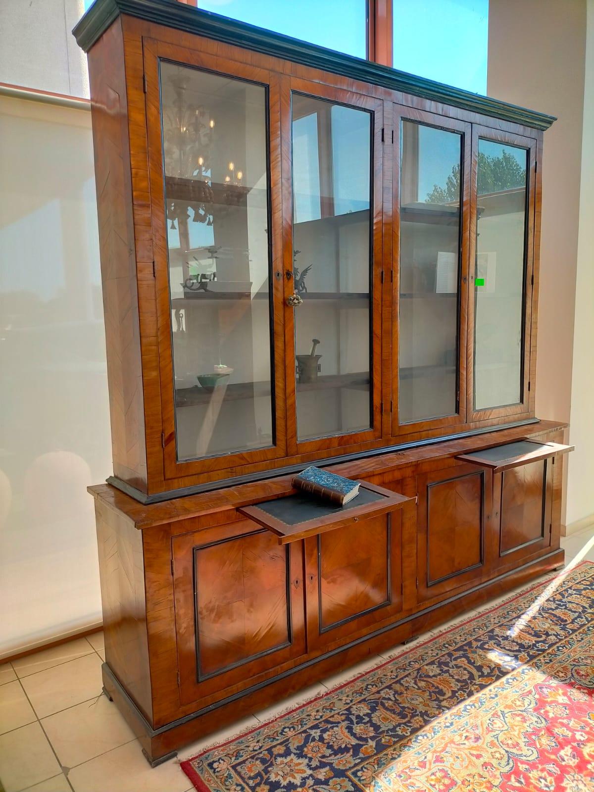 19th Century Glass Bookcase in Olive and Ebony Wood In Excellent Condition For Sale In Cesena, FC