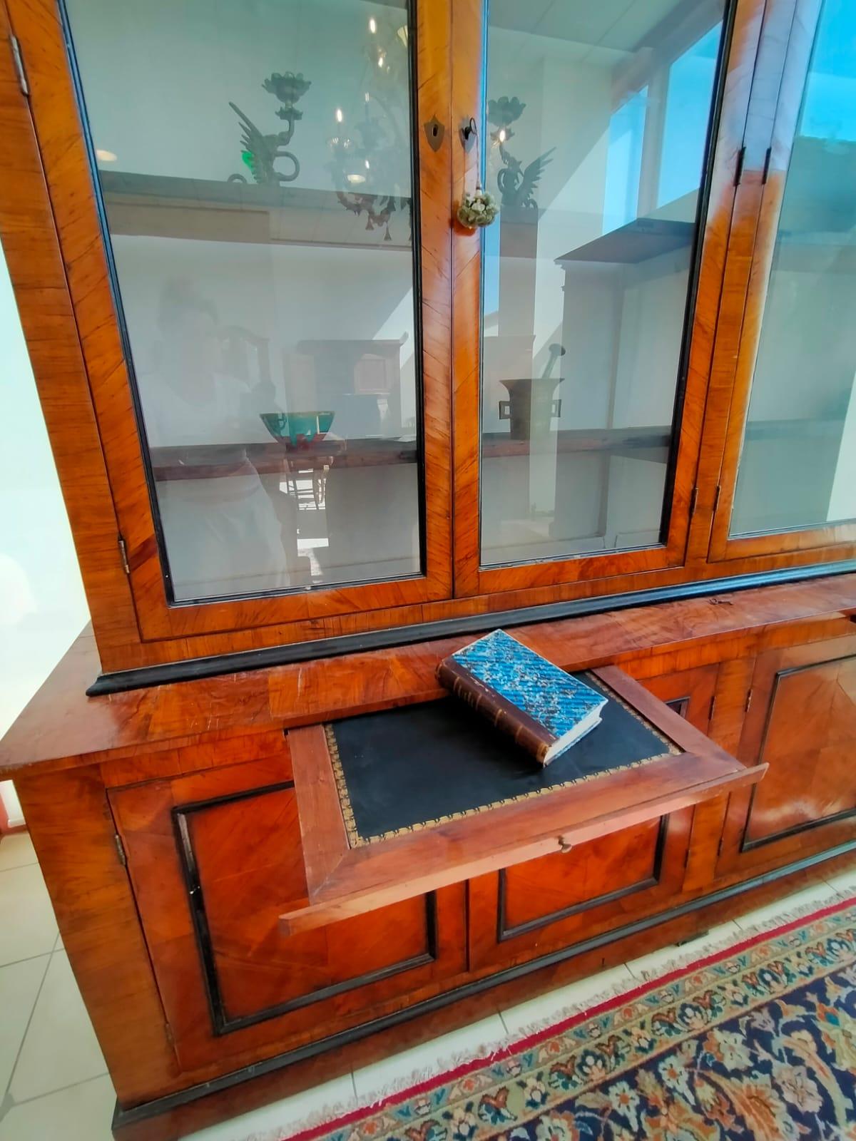 Olivier Bibliothèque en verre du 19e siècle en bois d'olivier et d'ébène en vente