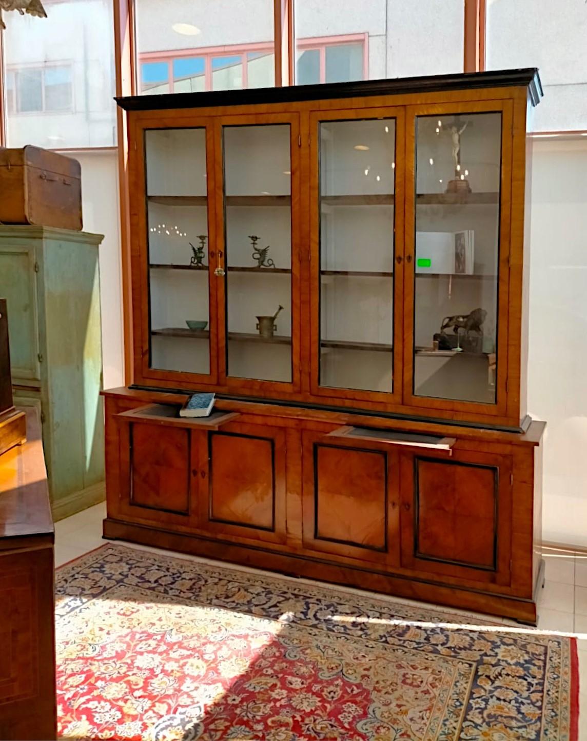 Bibliothèque en verre du 19e siècle en bois d'olivier et d'ébène en vente 1