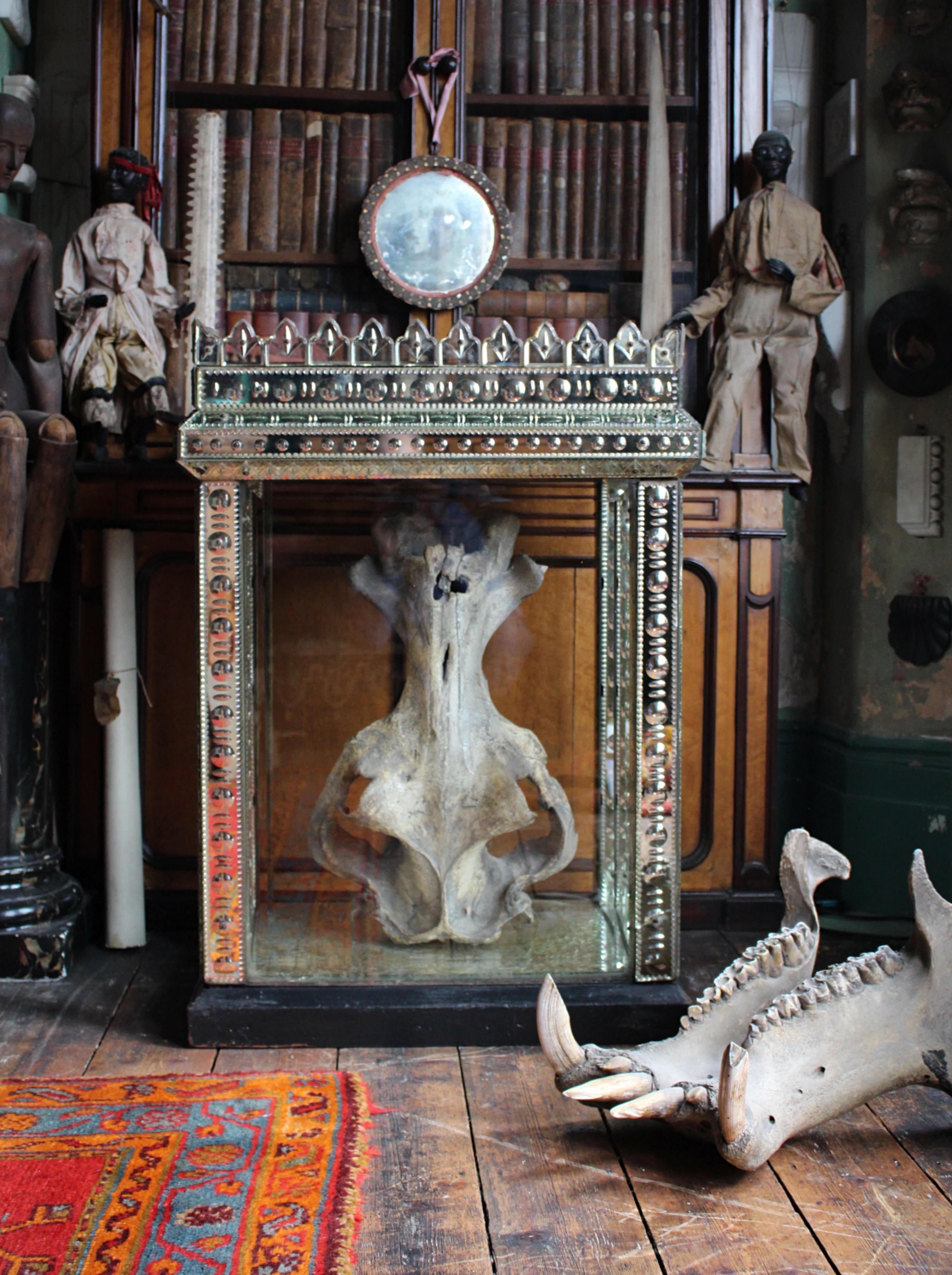 19th Century Glass & Mirrored Venetian Vitrine Display Case Curio Cabinet 7