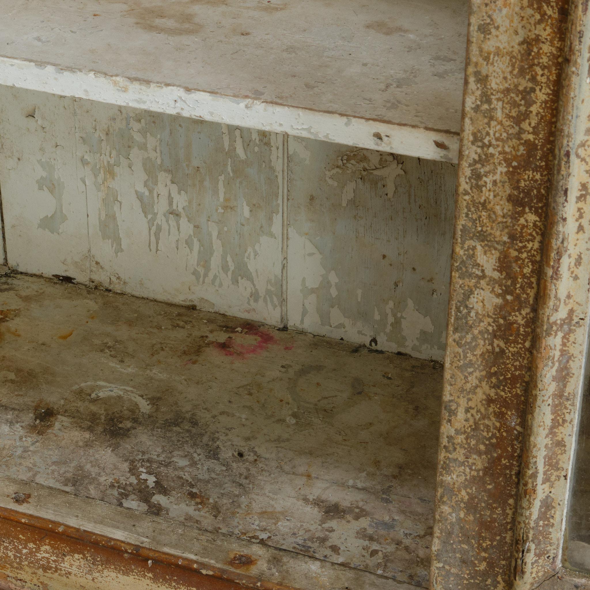 Armoire émaillée du 19ème siècle en peinture en vente 7