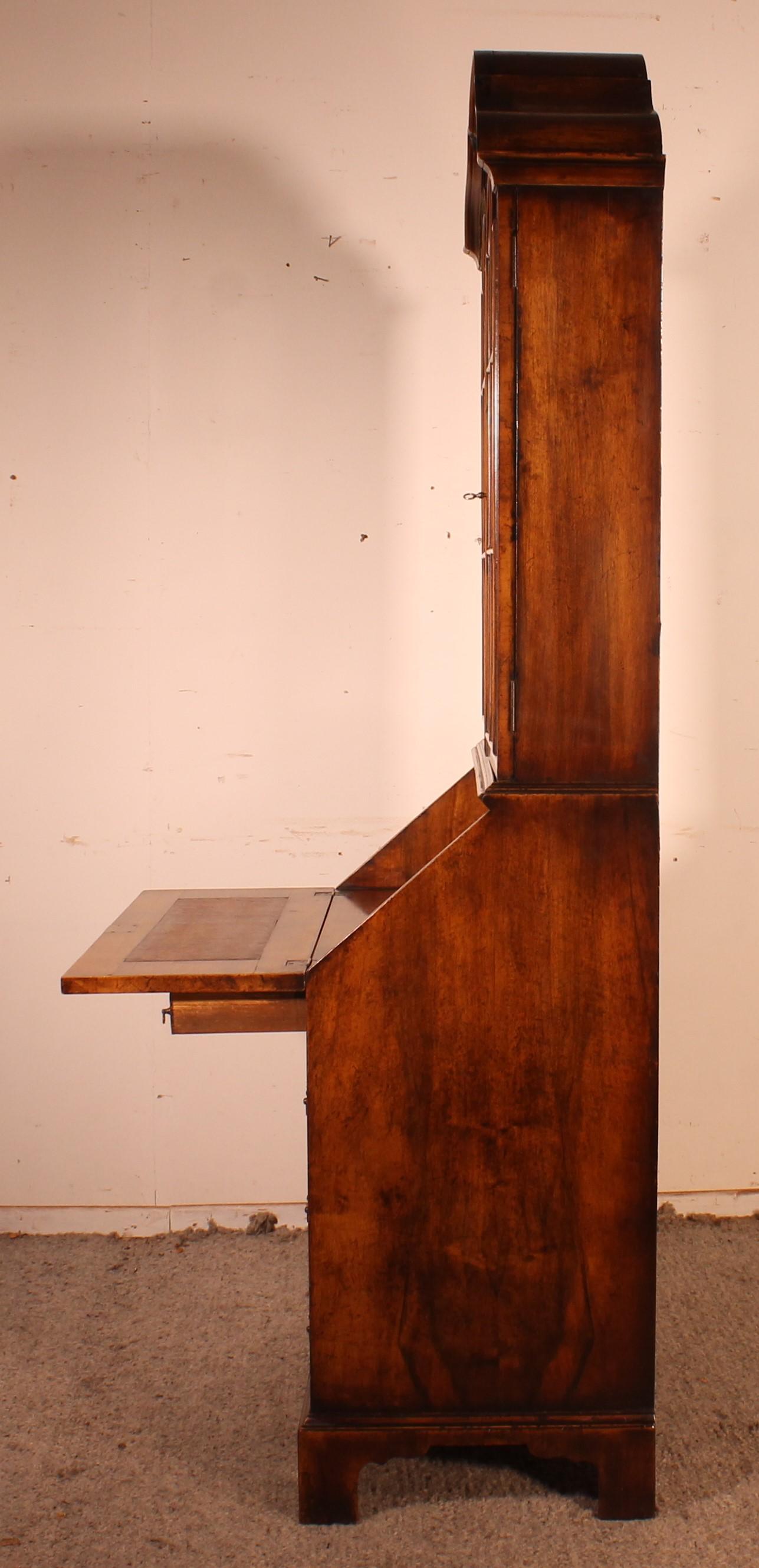 19th Century Glazed Secretaire Bookcase in Walnut, England For Sale 3