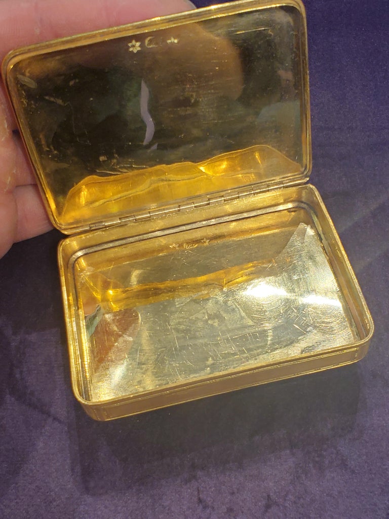 19th Century Gold and Enamel Snuff Box For Sale at 1stDibs