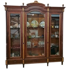 19th Century Gold Mahogany French Vitrine