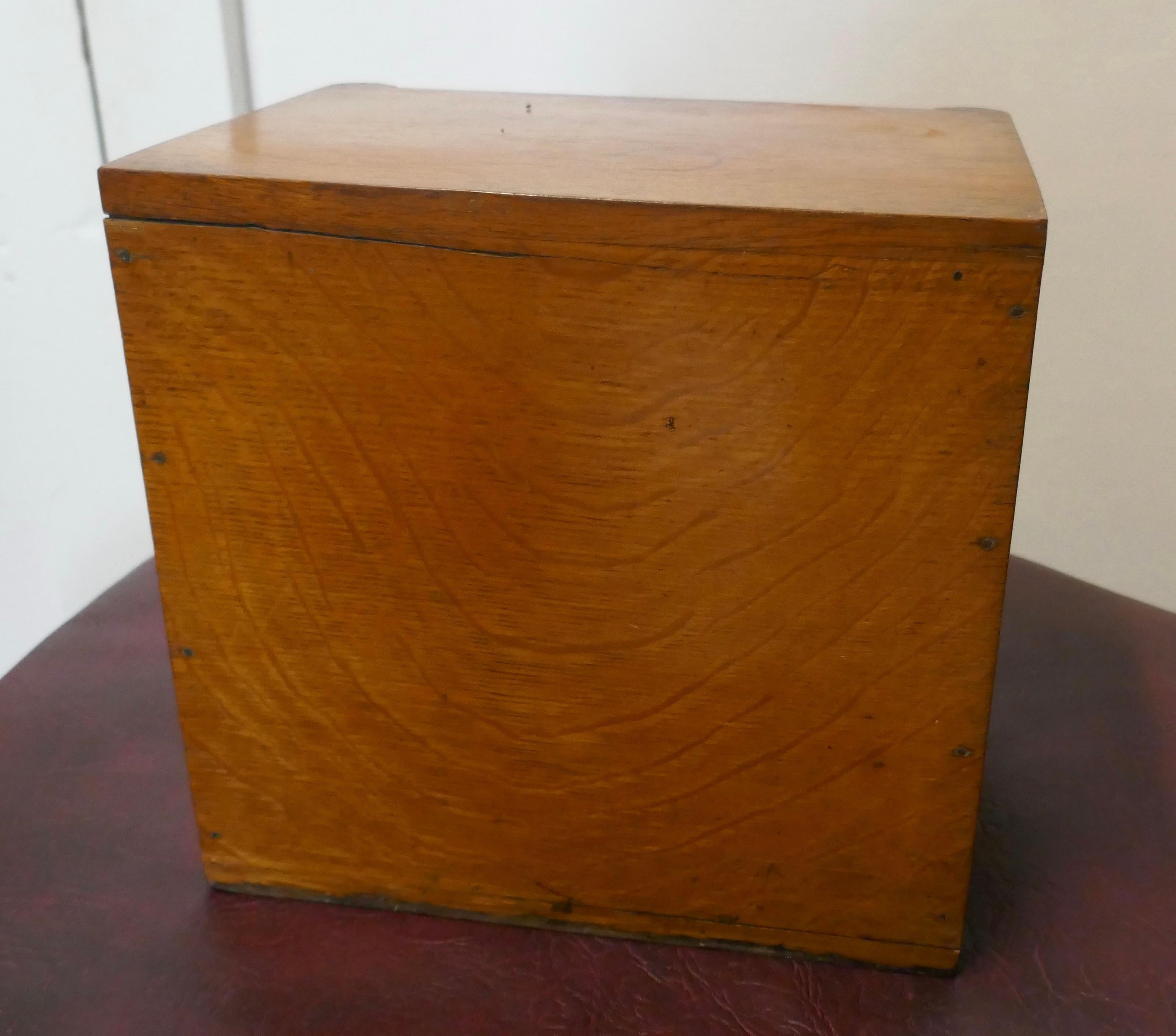 19th Century Golden Oak Humidor   For Sale 4