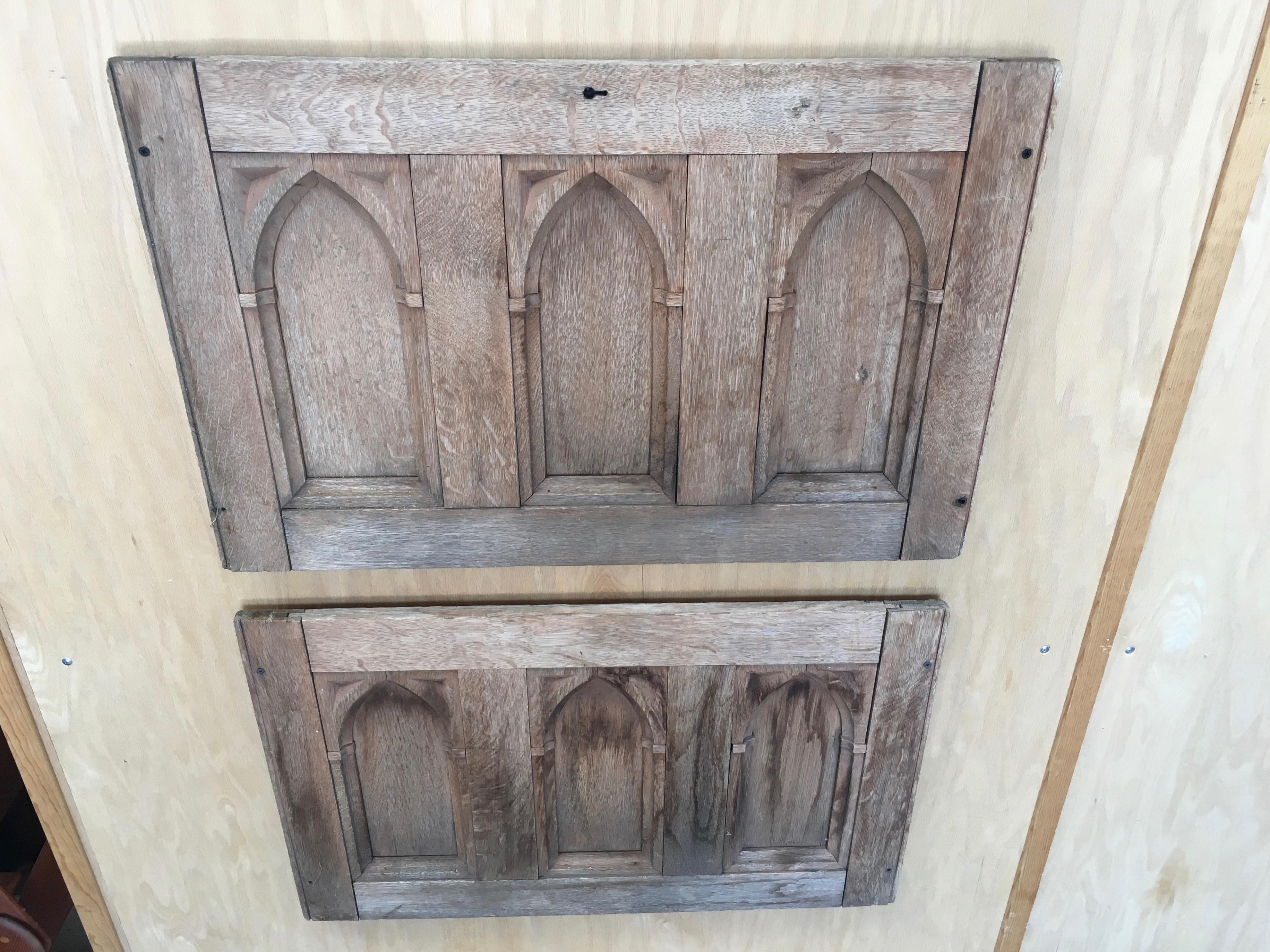 19th Century Gothic Revival Panels a Pair 5