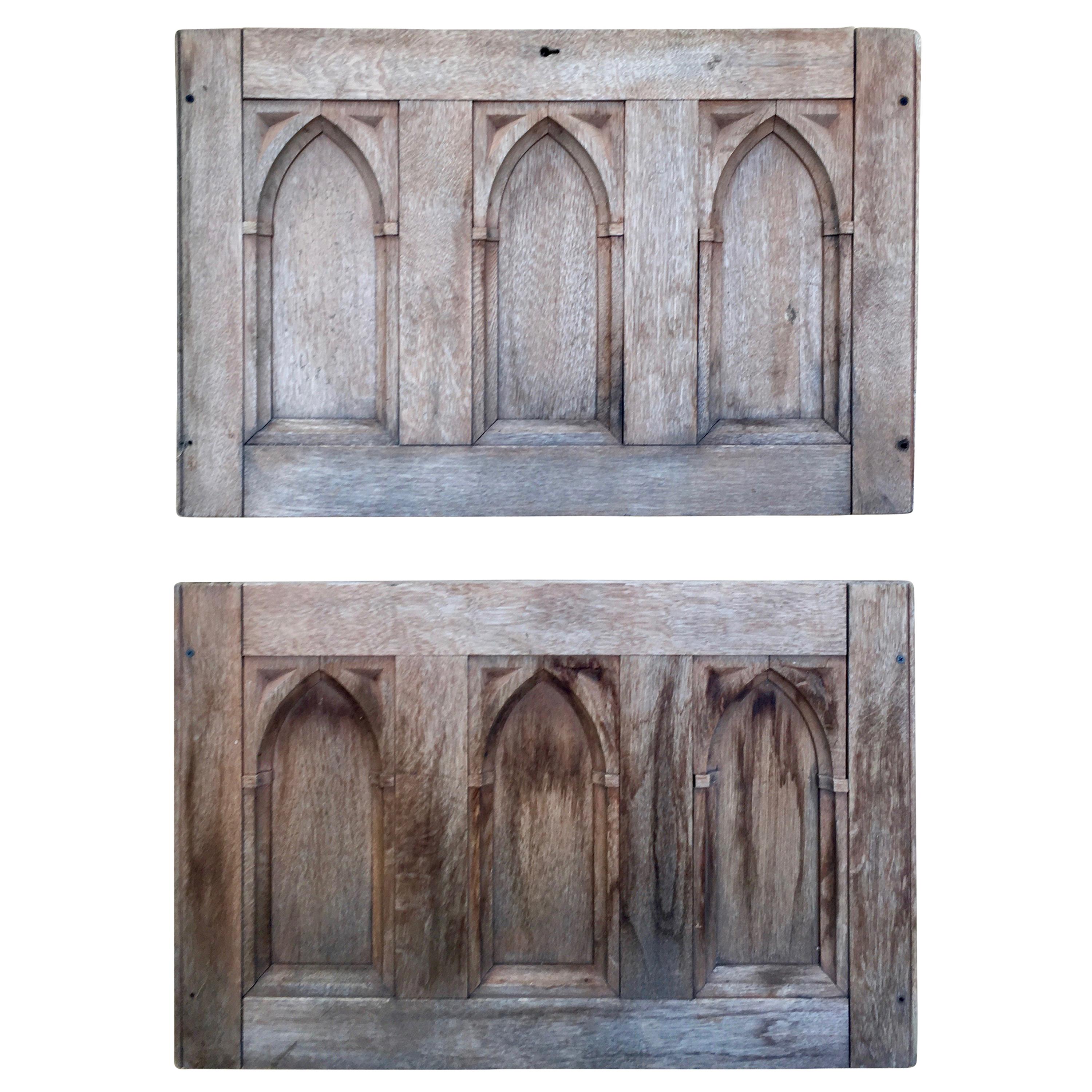 19th Century Gothic Revival Panels a Pair