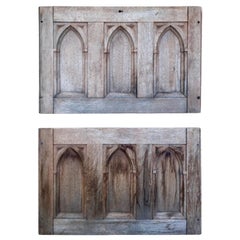 19th Century Gothic Revival Panels a Pair