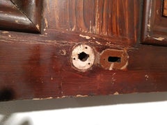 Puerta de Madera Panelada Pintada con Grano del Siglo XIX