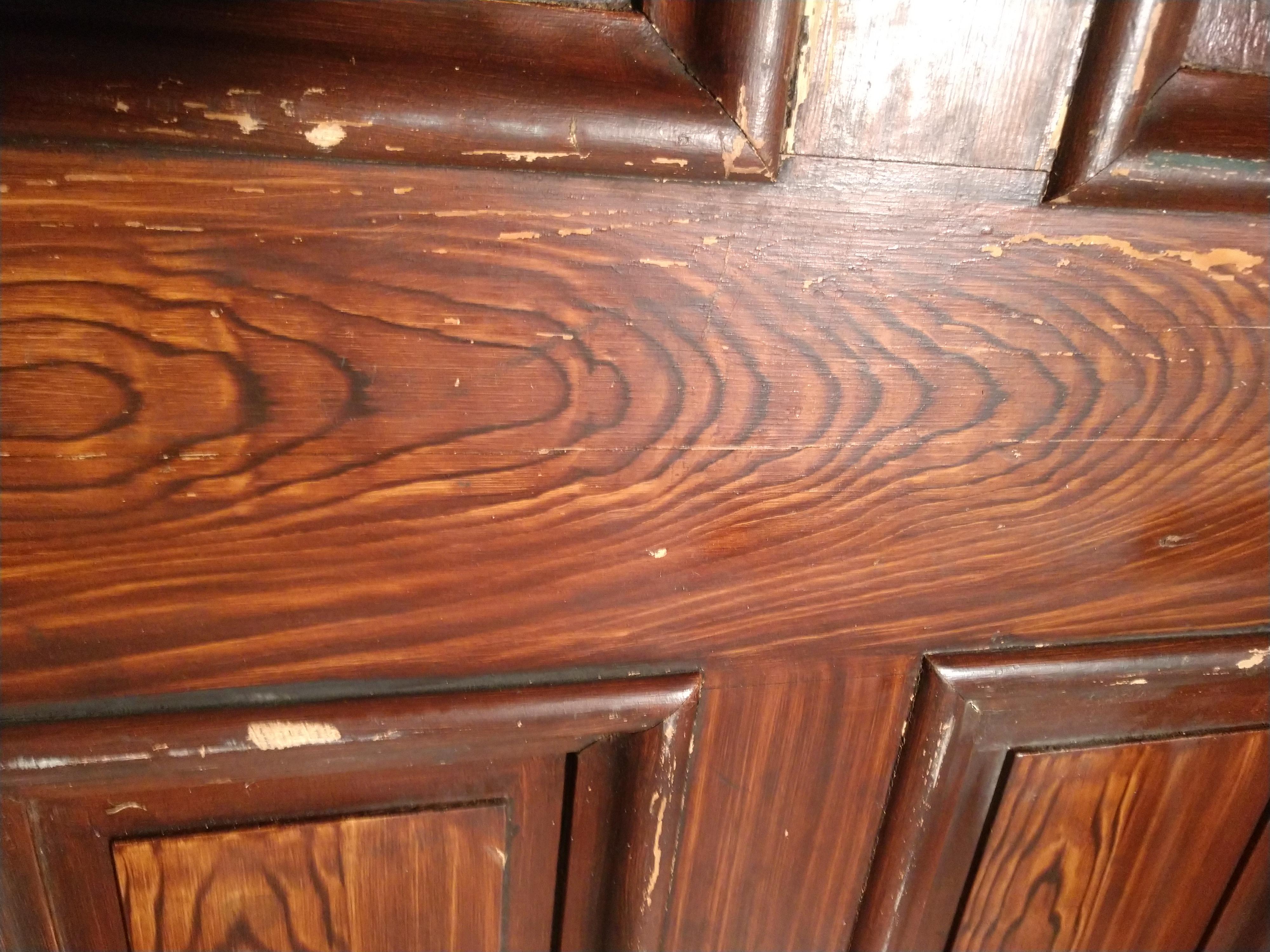 19th Century Grain Painted Paneled Wood Door For Sale 5
