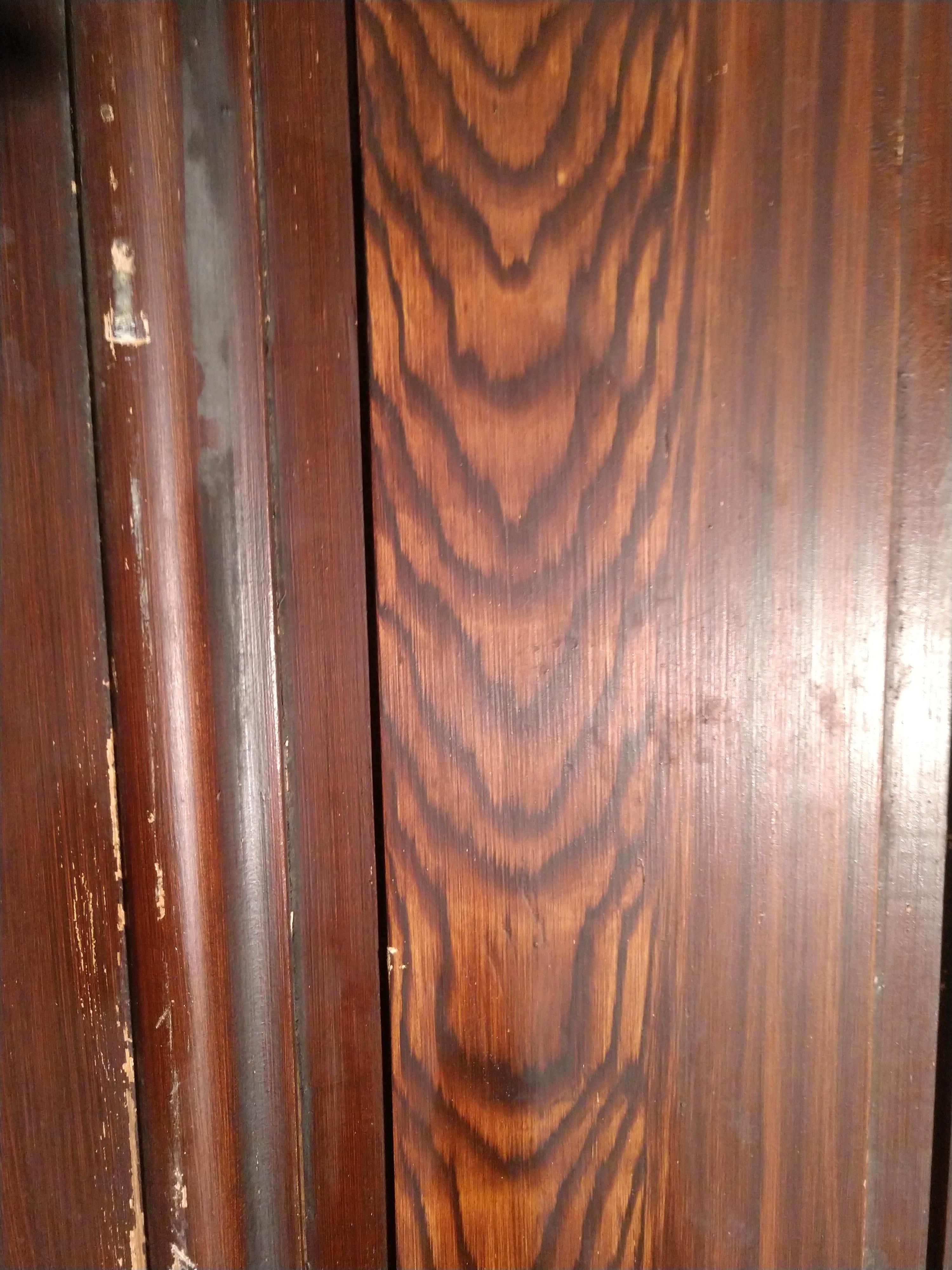19th Century Grain Painted Paneled Wood Door For Sale 6