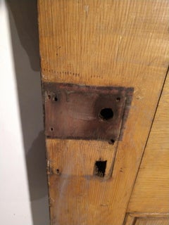 19th Century Grain Painted Paneled Wood Door