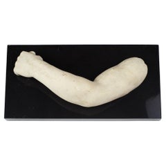 19th Century Grand Tour Marble Arm Fragment