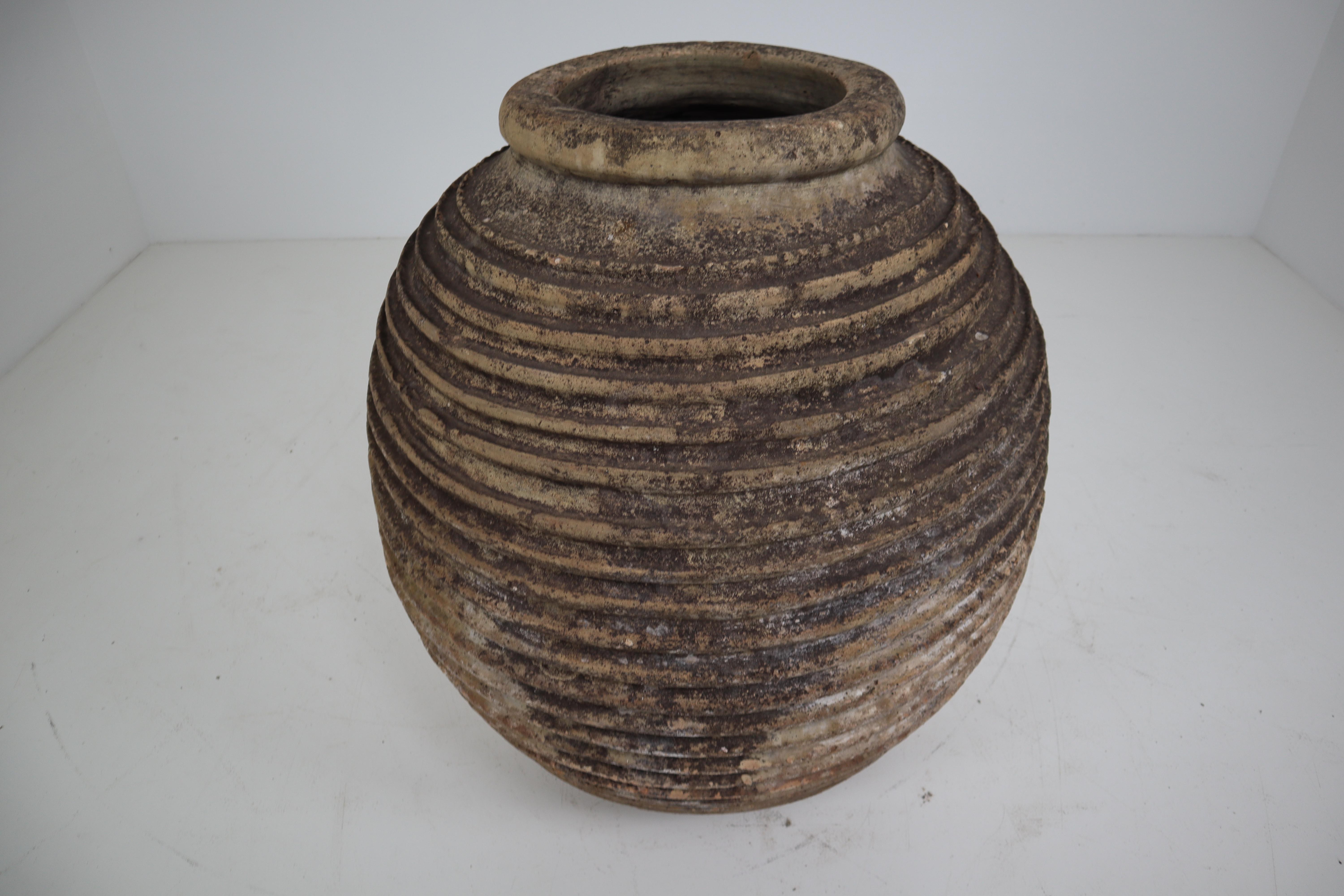 19th Century Greek 'King-Size' Ribbed Olive Jar with Dark Lichen Patination 5