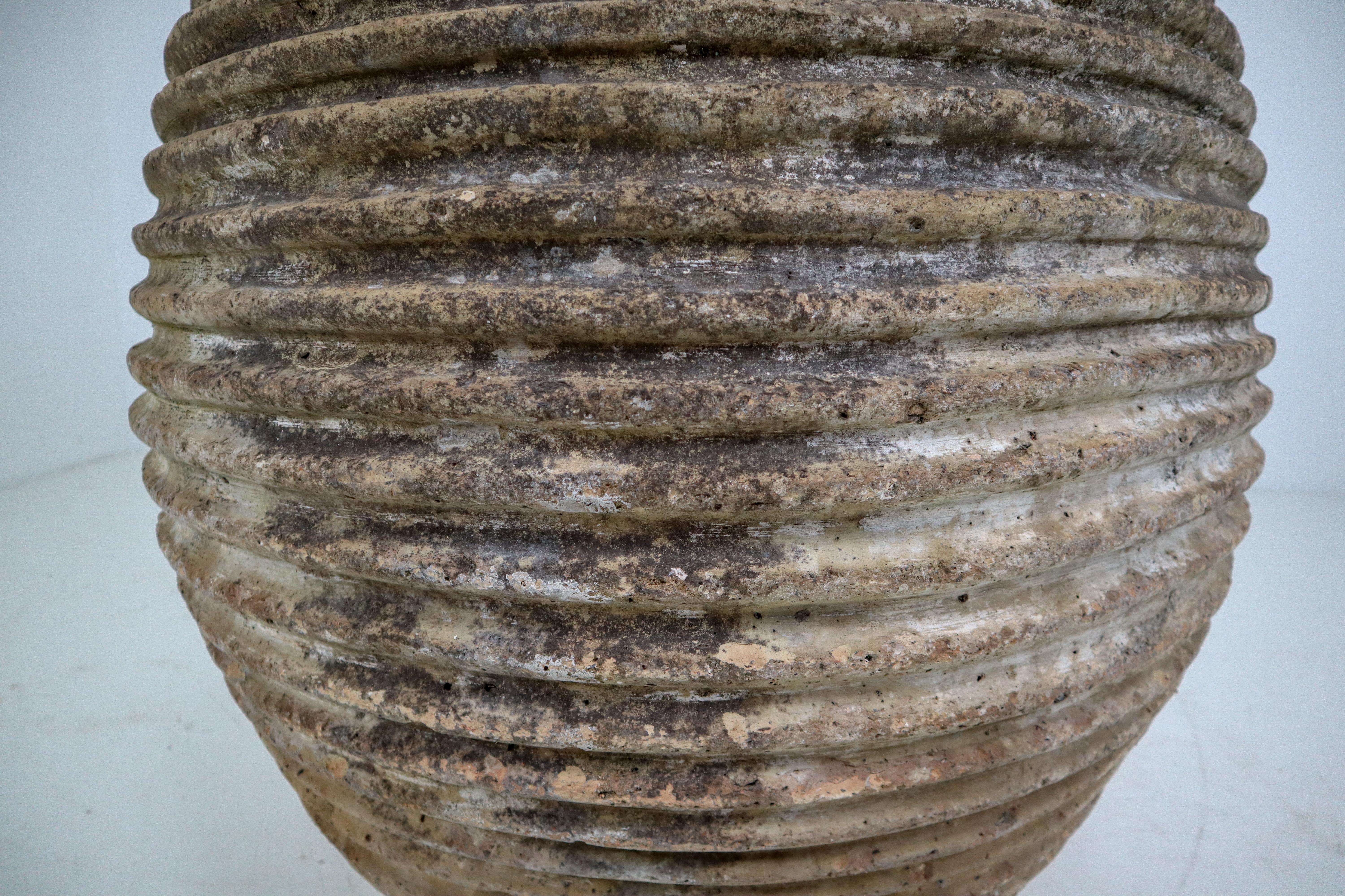 French Provincial 19th Century Greek 'King-Size' Ribbed Olive Jar with Dark Lichen Patination