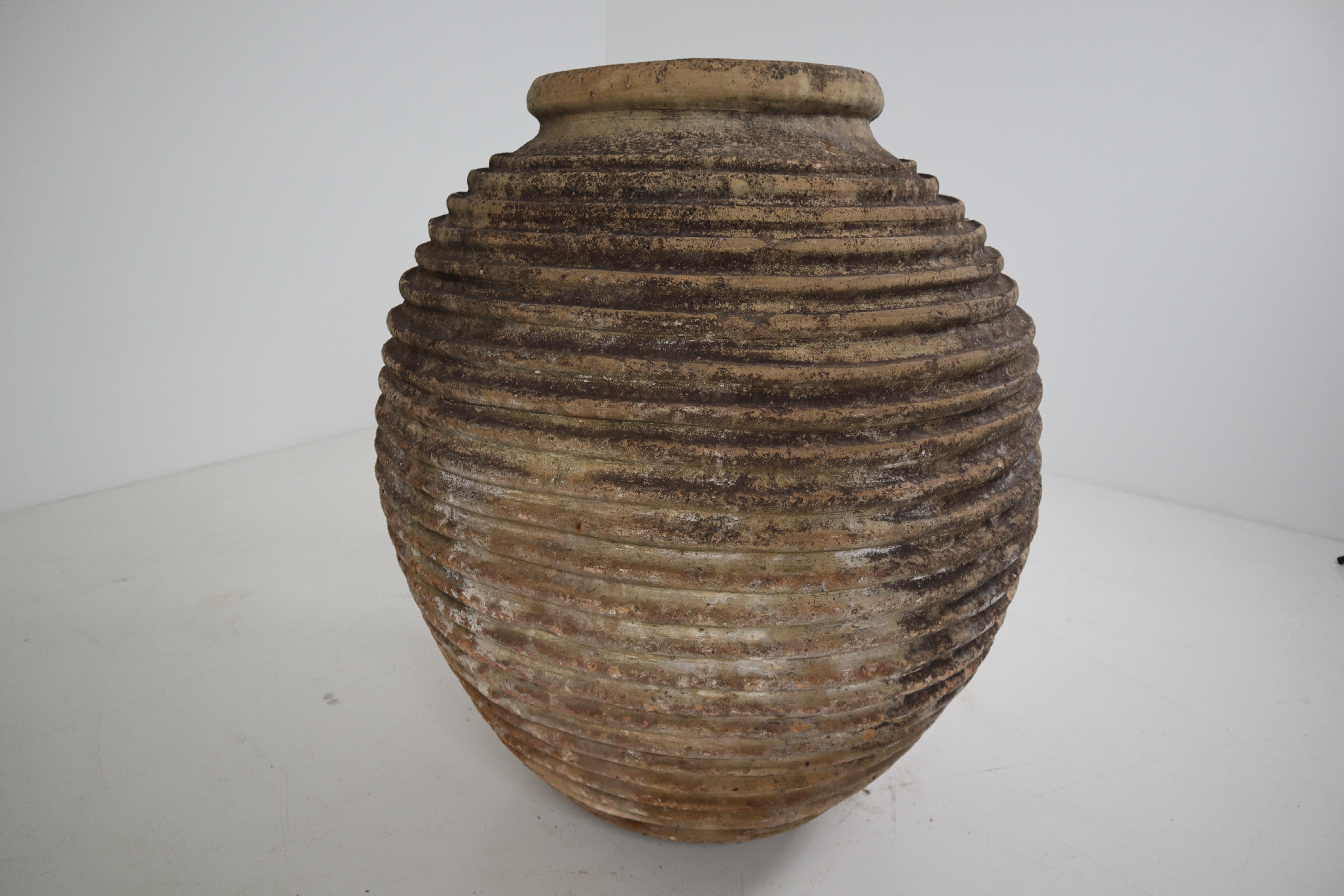 Terracotta 19th Century Greek 'King-Size' Ribbed Olive Jar with Dark Lichen Patination