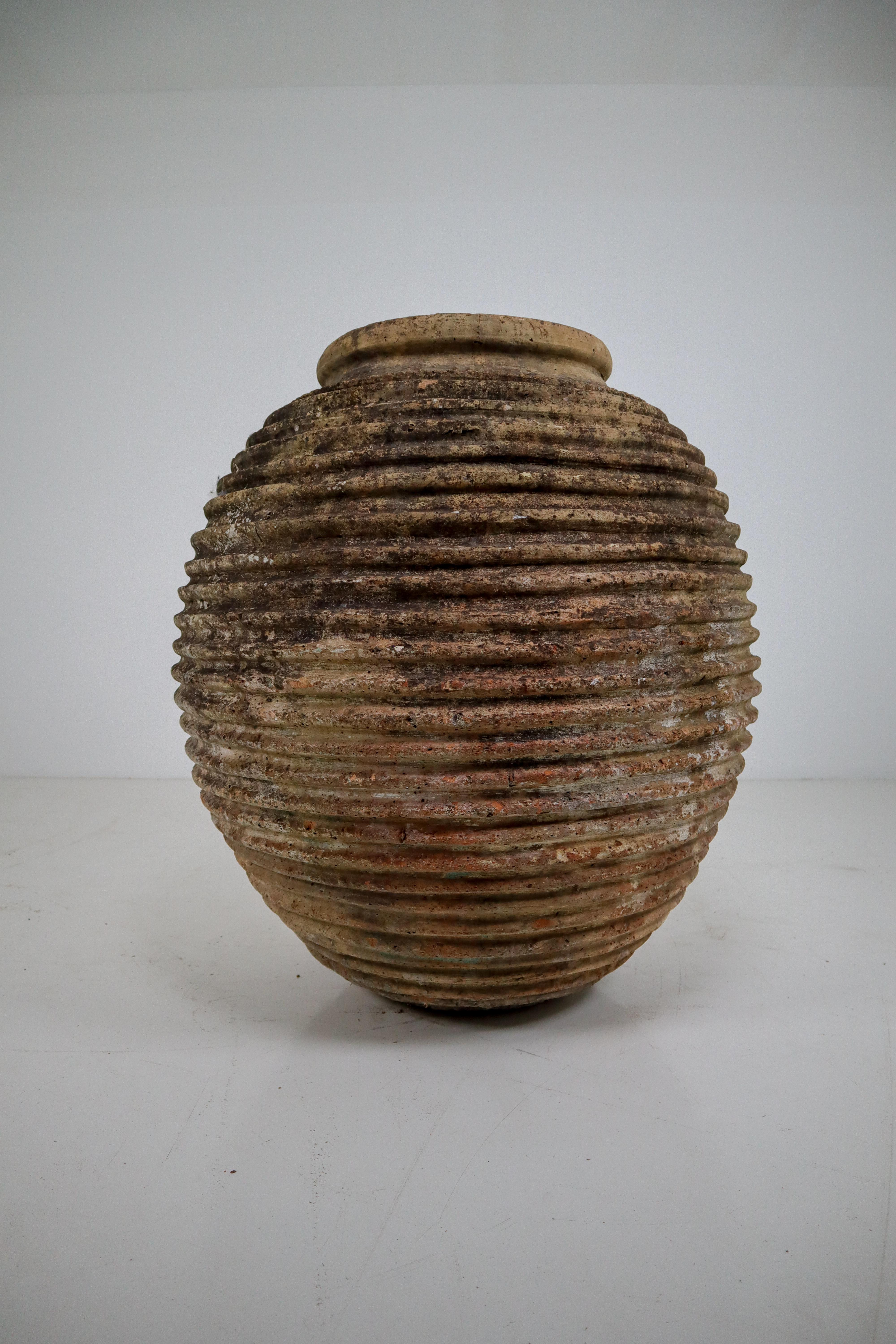 19th Century Greek 'King-Size' Ribbed Olive Jar with Dark Lichen Patination 2