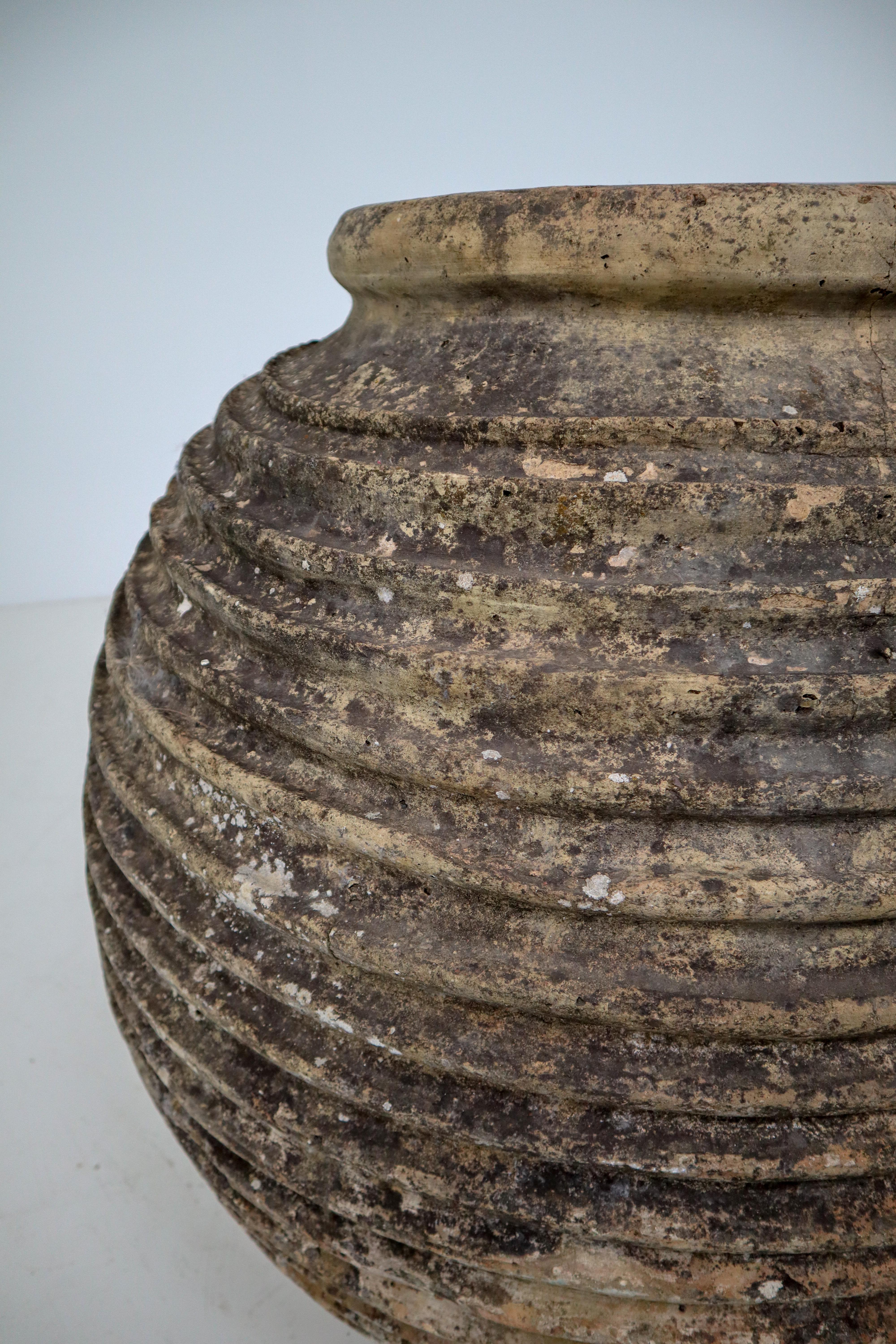 19th Century Greek 'King-Size' Ribbed Olive Jar with Dark Lichen Patination 3