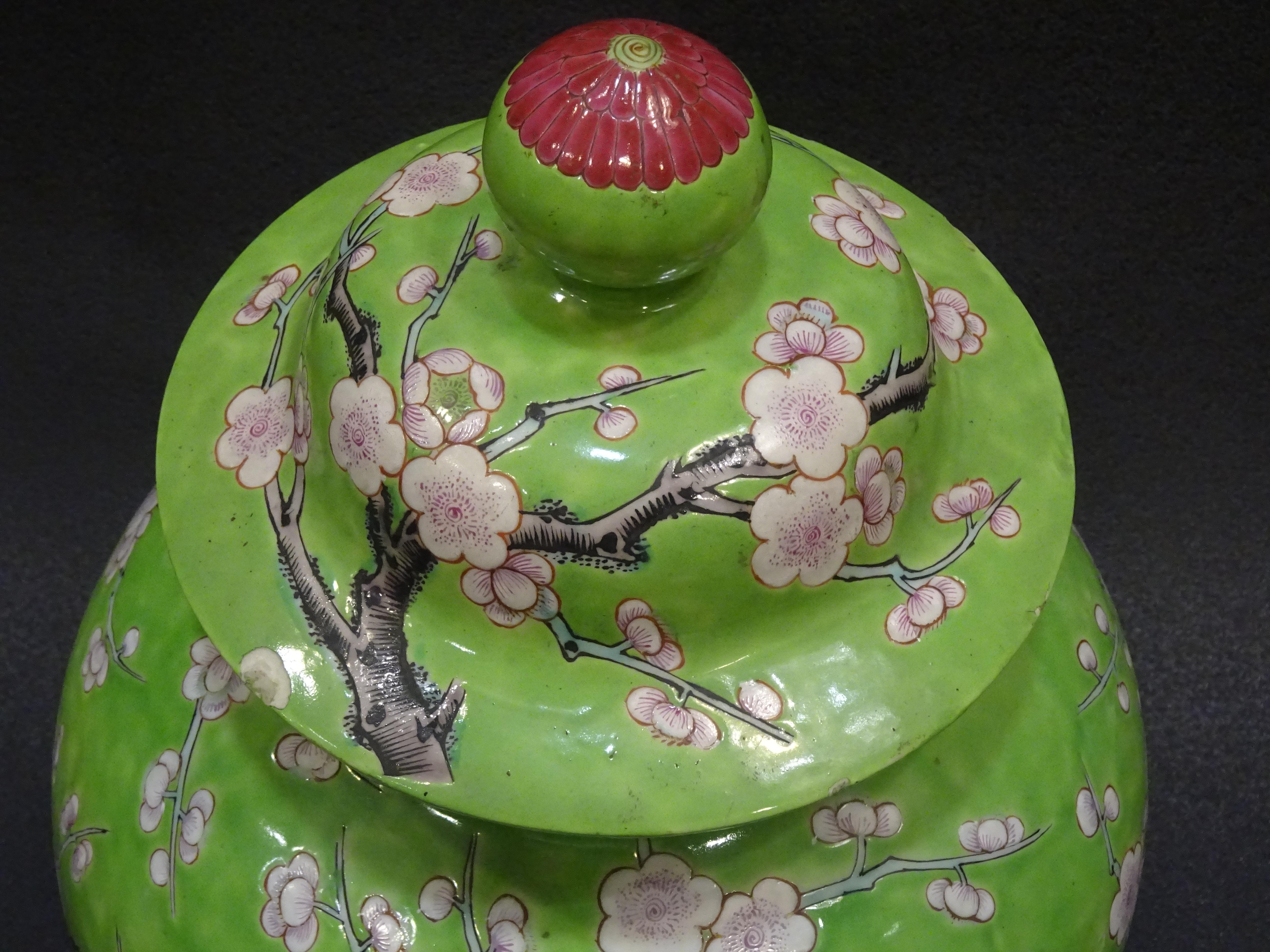 19th Century Green White Pink Chinese Guang-Xu Porcelain Lid Vase 12