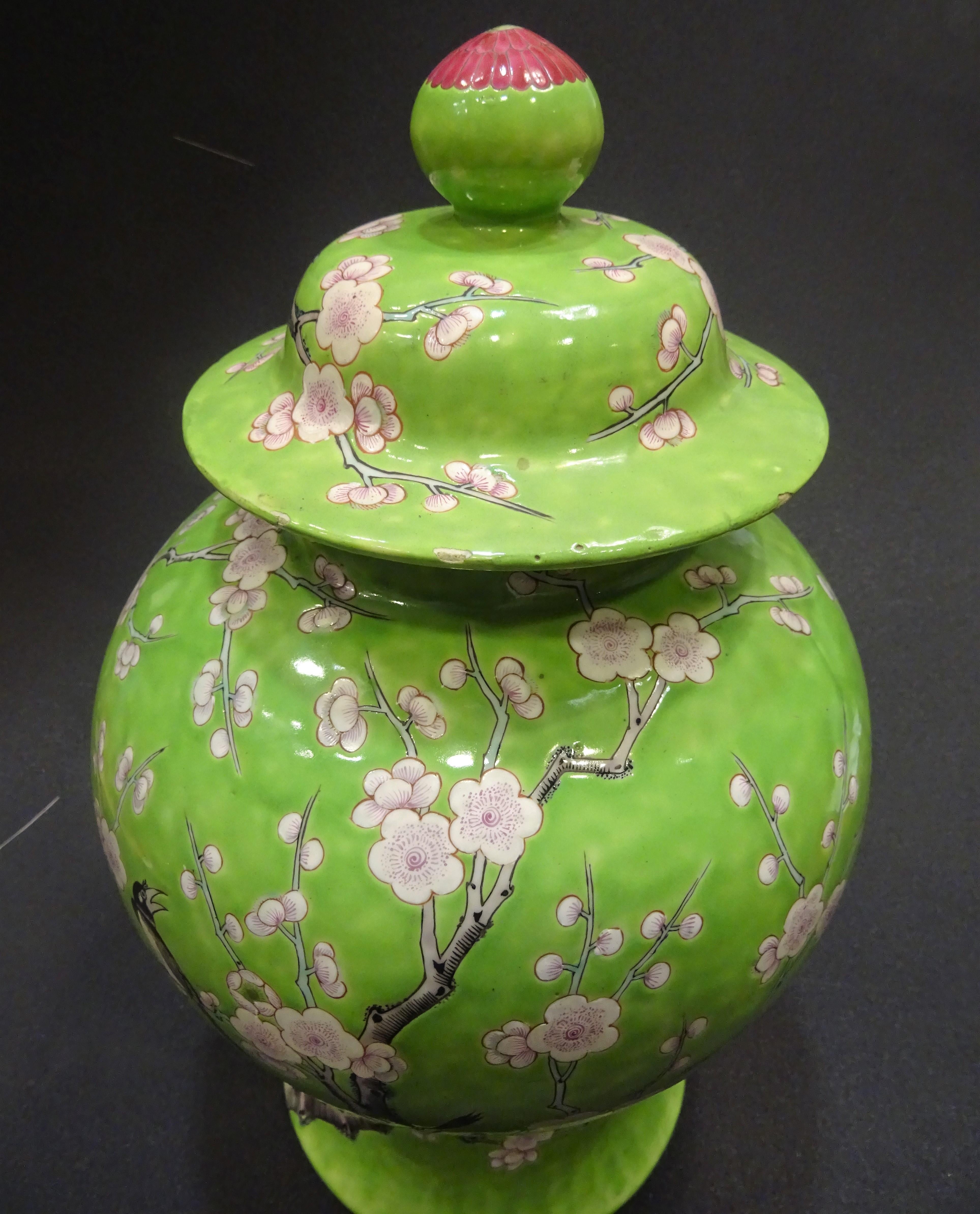 Stunning hand painted Chinese Porcelain lid vase. Guang-Xu period, (1875-1908), green family, with makes at the base. Hand painted in a beautiful light green with almonds tree and crows in black and white color, the lids ends with a beautiful pink