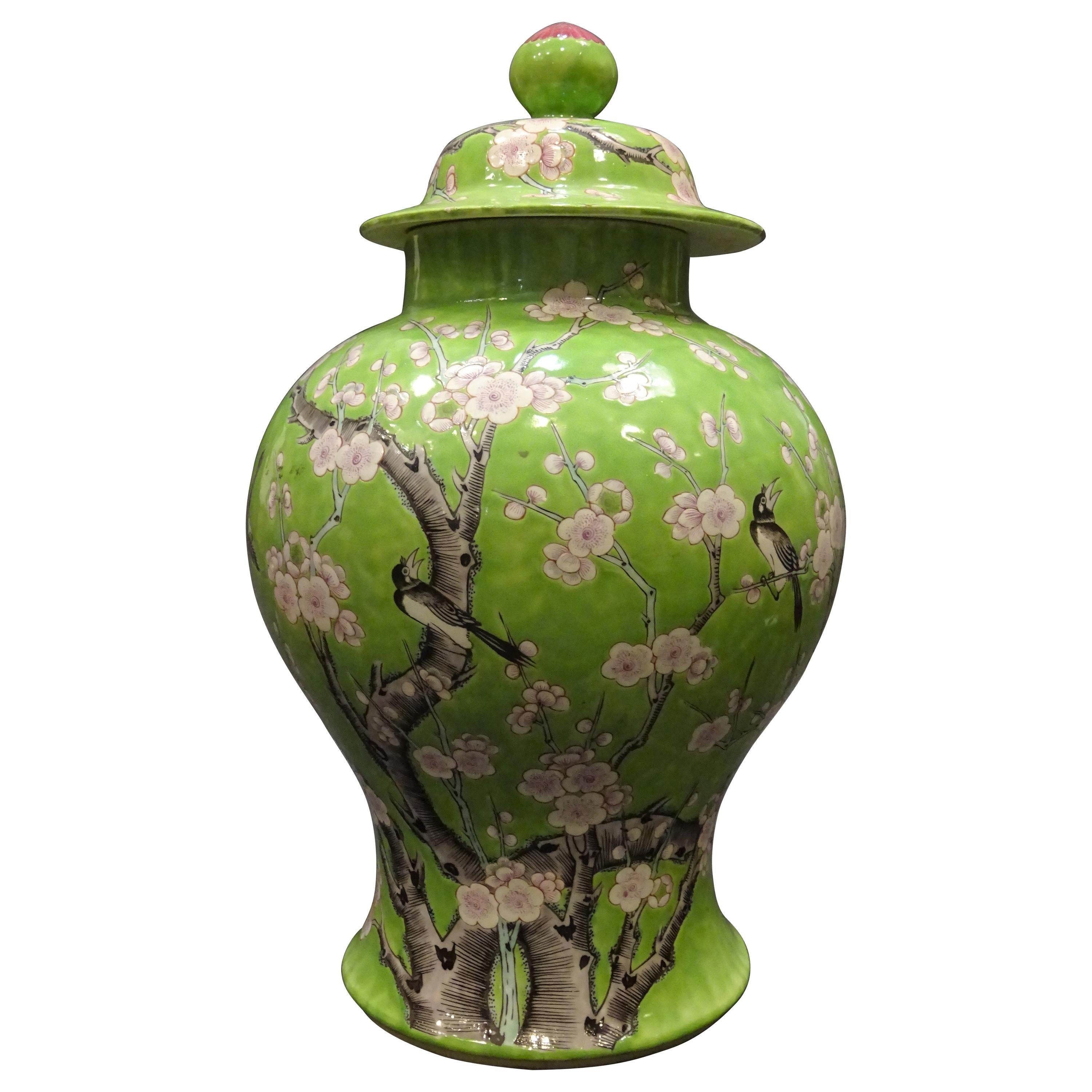 19th Century Green White Pink Chinese Guang-Xu Porcelain Lid Vase