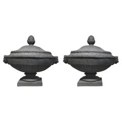 Paire d'urnes néoclassiques anglaises en plomb grises du 19ème siècle de style antique