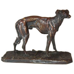 19th Century Greyhound Bronze by P.J Mêne