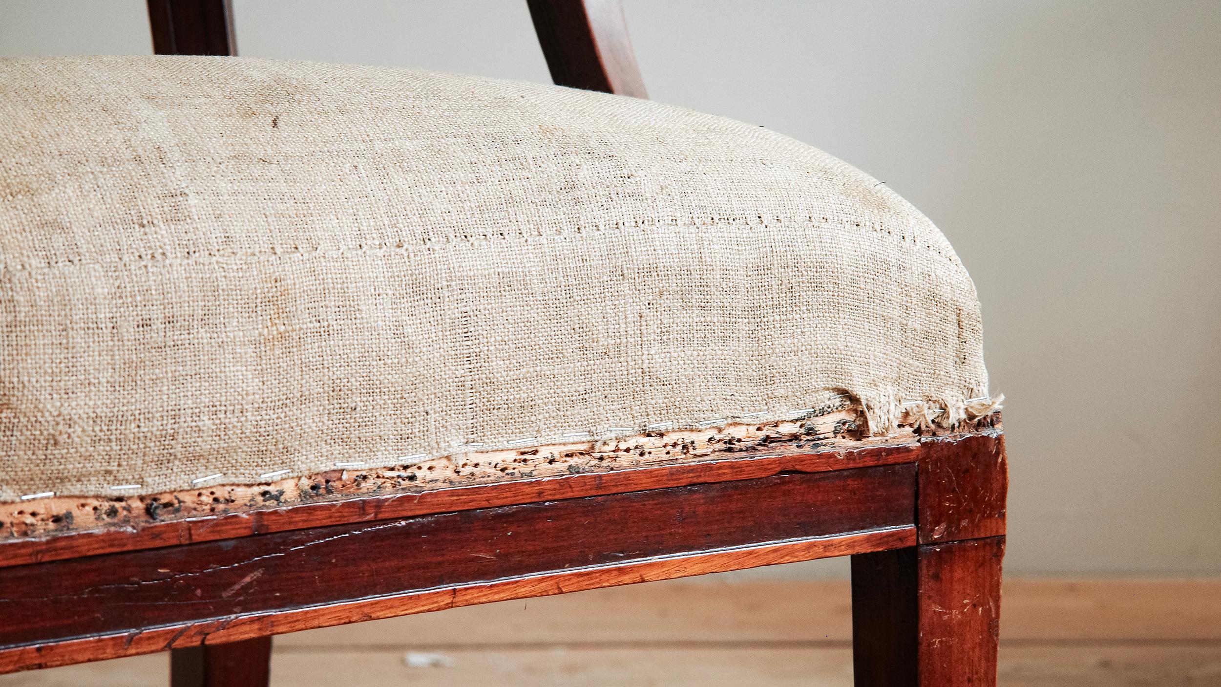 Hand-Crafted 19th Century Gustavian Barrel Back Chairs For Sale