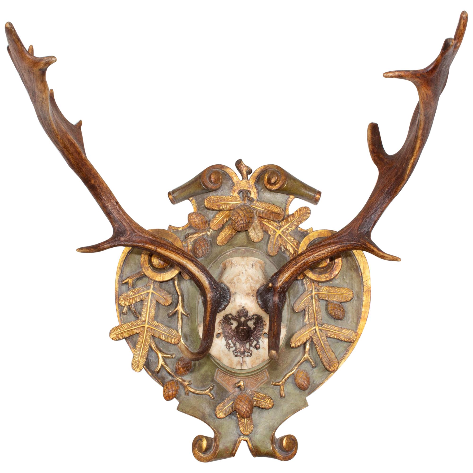 19th Century Habsburg Fallow Hunt Trophy with Original Wappen from Austria