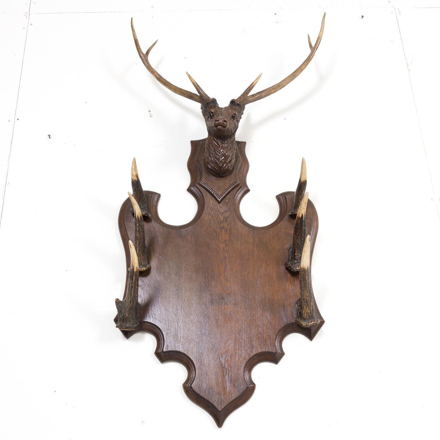 19th Century Hand Carved Black Forest Gun or Wall Rack 7