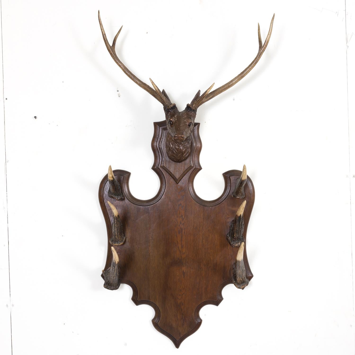 A handsome 19th century Black Forest gun rack hand carved of solid oak in the French Alps, circa 1890s. This unique rack features an intricately carved stag head having glass eyes and mounted antlers with three rows of horns mounted on each side of