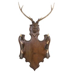 19th Century Hand Carved Black Forest Gun or Wall Rack