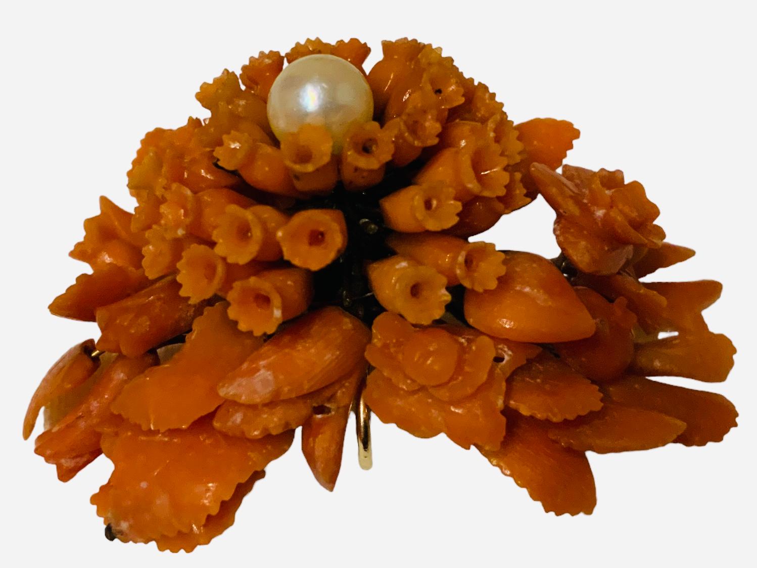 This is a 19th century Coral and Pearl Pendant. It depicts a bouquet of branches of flowers and leaves made of hand carved coral. The top center of the bouquet is enhanced by a culture pearl. The back of the pendant has two hooks to be used for a