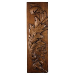 Antique 19th century Hand carved Oak panel with Foliage Sculptural ornament France