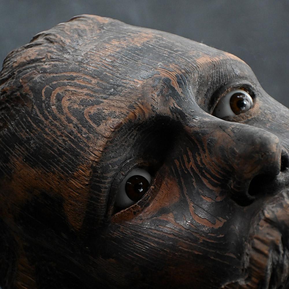 19th Century Hand Carved Opticians Display Shop Bust 7