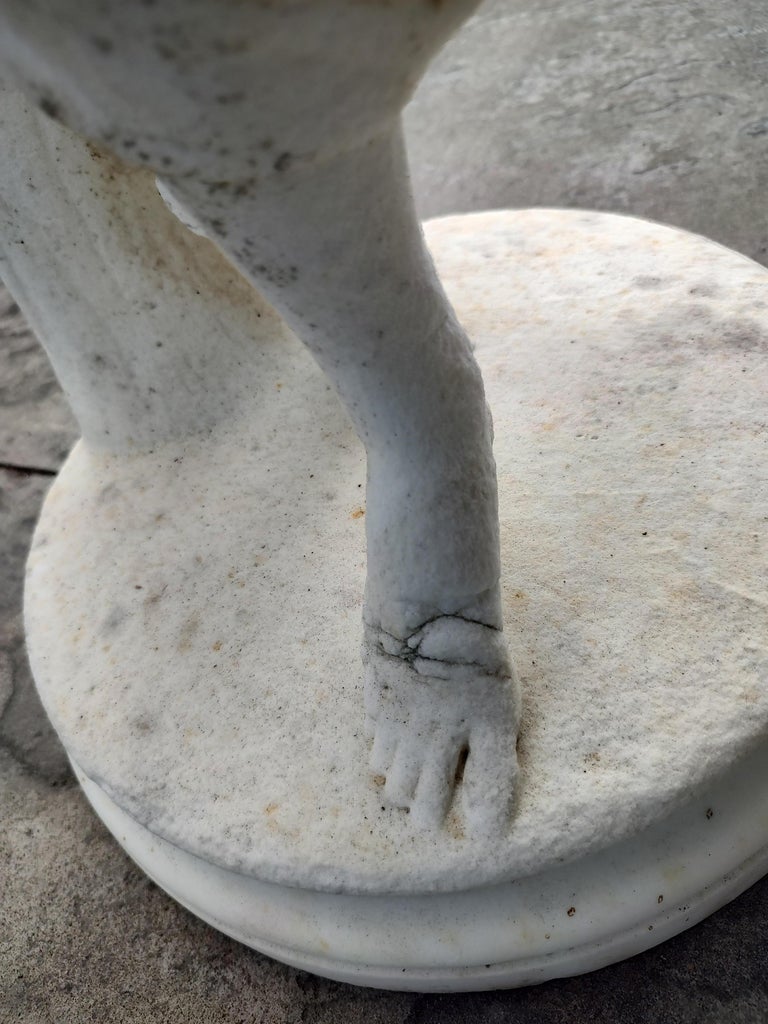 19th Century Hand Chilseled Marble Torso of a Victorian Maiden For Sale ...